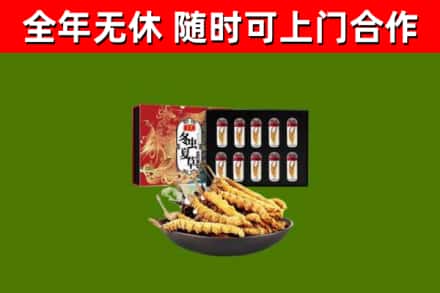 工农回收冬虫夏草价格